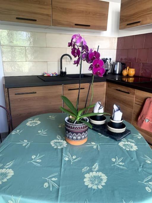 מרסיי Maisonnette De Jardin מראה חיצוני תמונה
