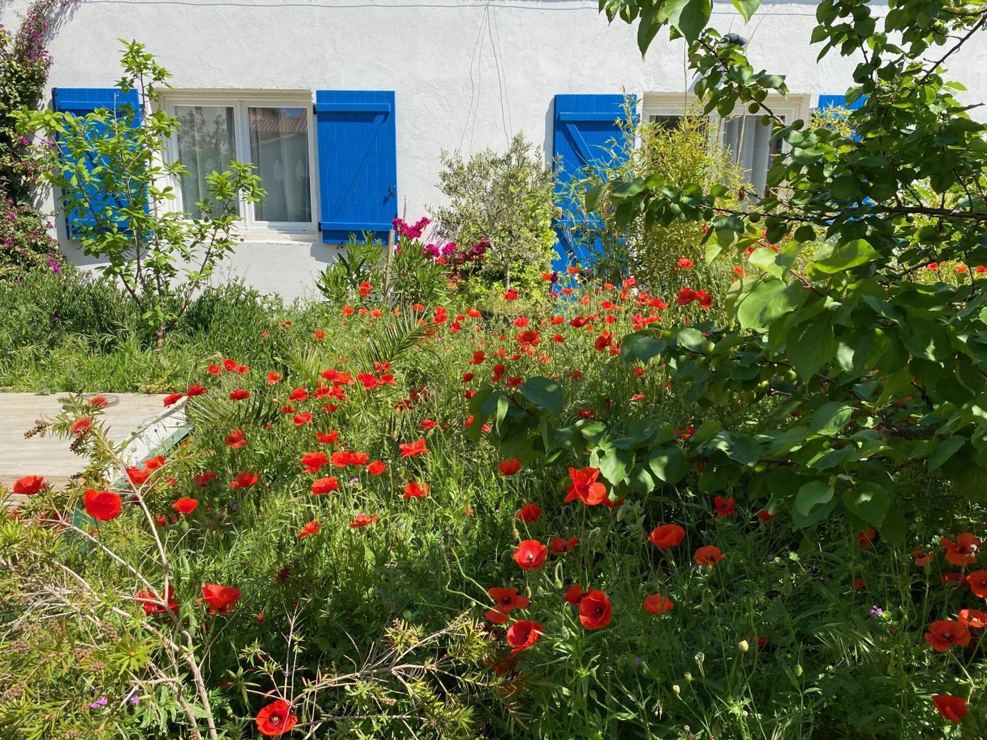 מרסיי Maisonnette De Jardin מראה חיצוני תמונה